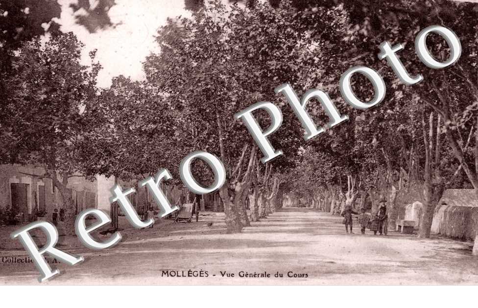 Vue generale du cours