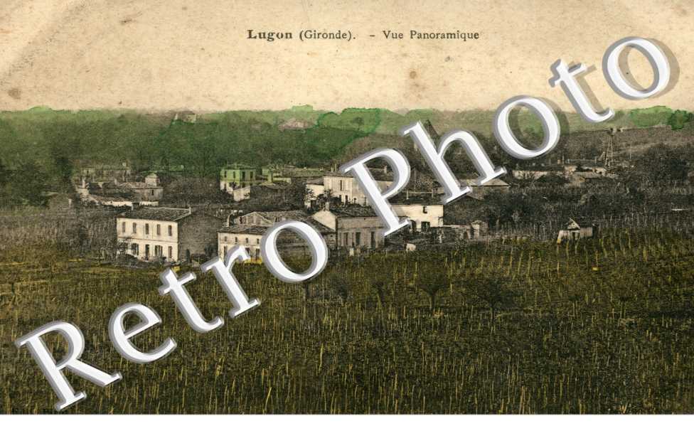 vue panoramique