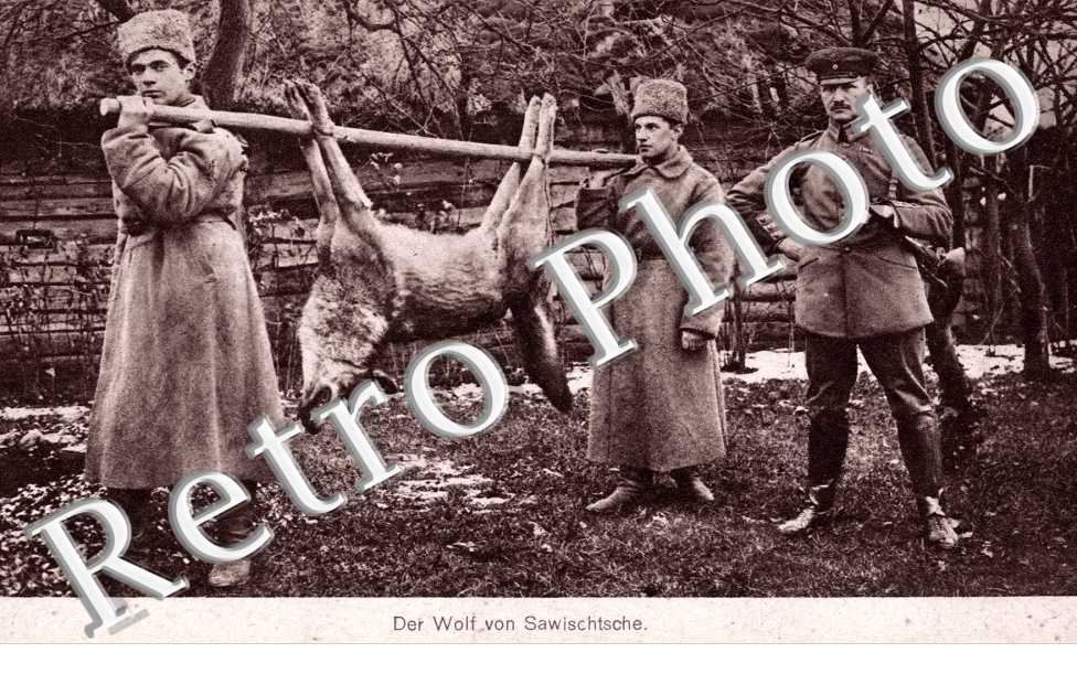 Der Wolf von ...