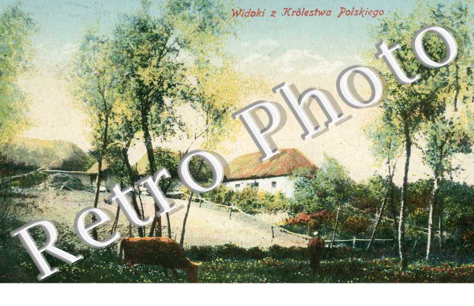 Widoki z Krolestwa Polskiego