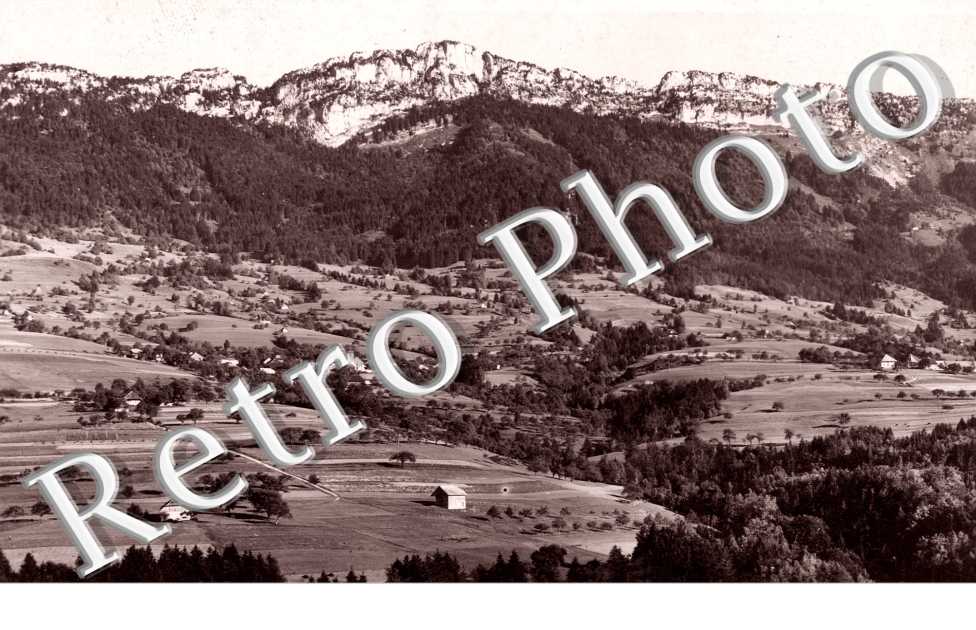 Vue Générale