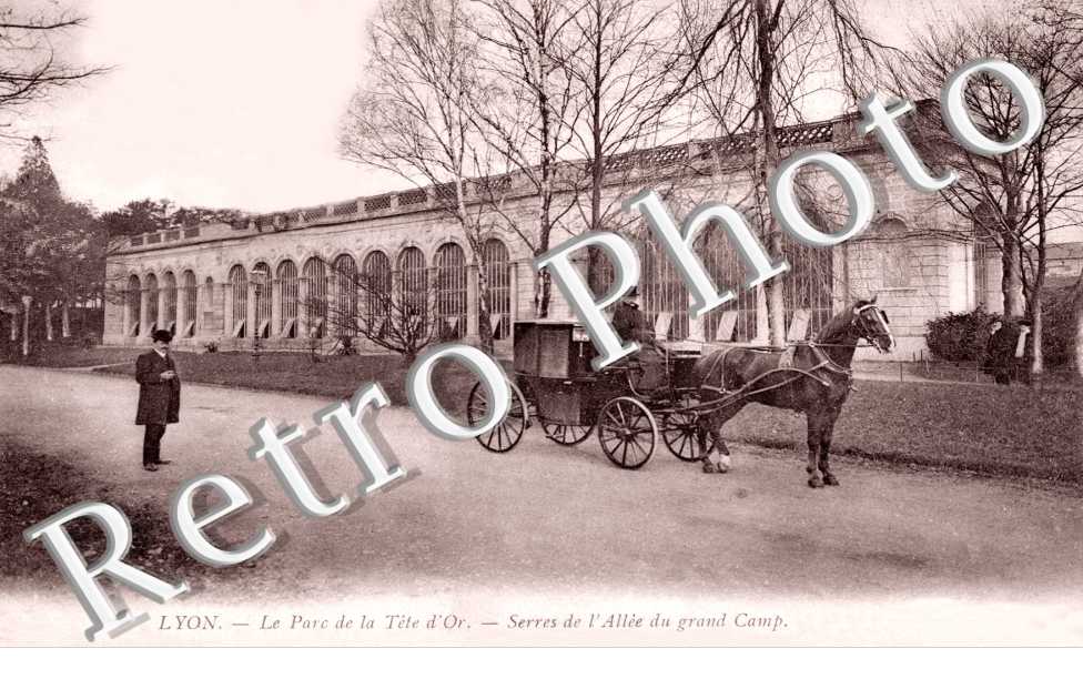 LE PARC DE LA Tete d'Or - Serres de l'allee du Grand Champ