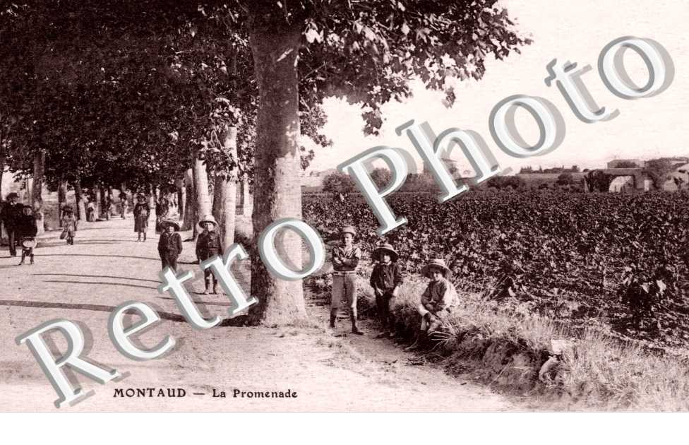 la Promenade