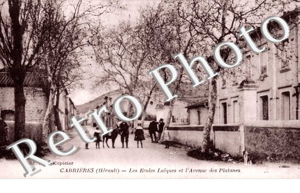 Les ecoles laiques et l&#039;avenue des platanes