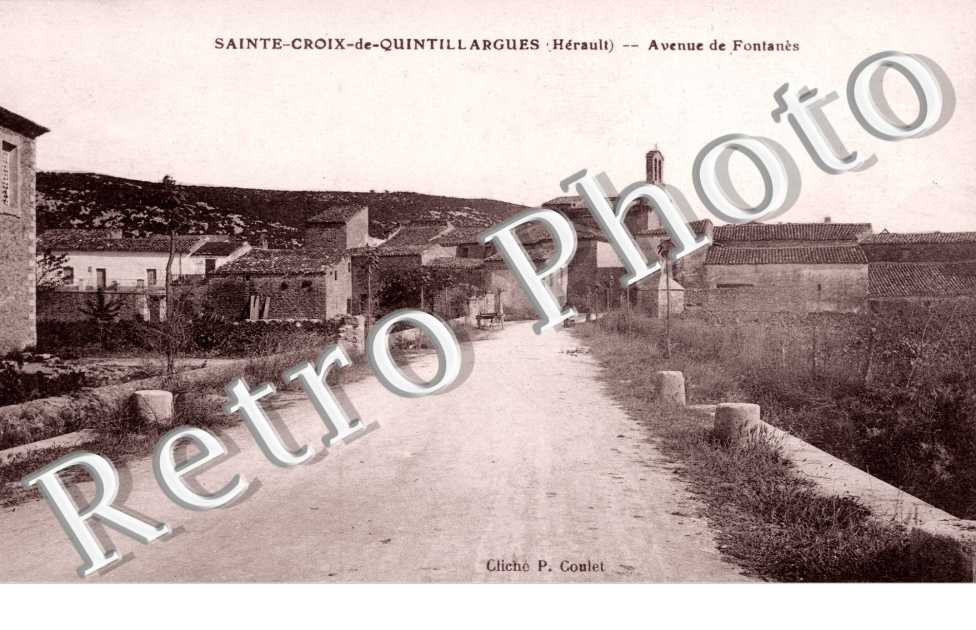 Avenue de Fontanes