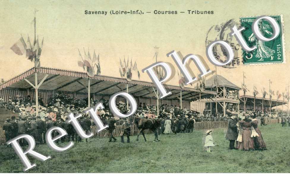 courses tribunes