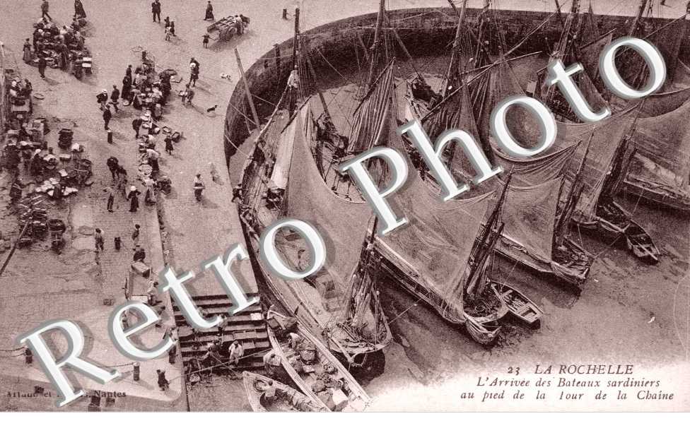 l'arrivée des bateaux sardiniers au pied de la tour de la Chaîne