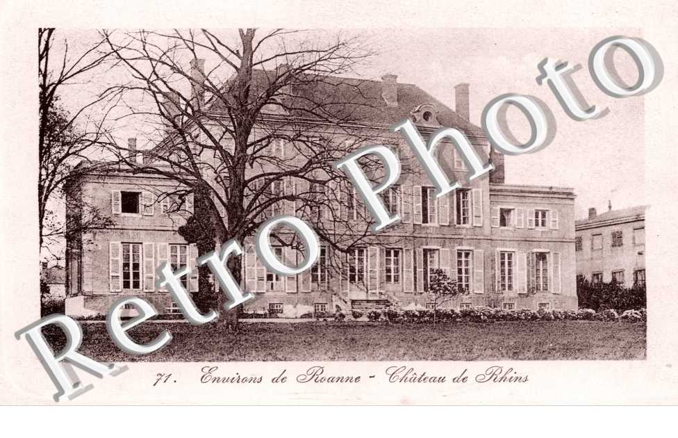 Chateau de Rhins