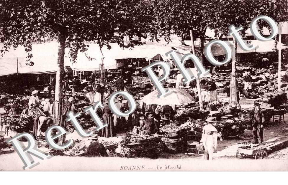 Le Marche