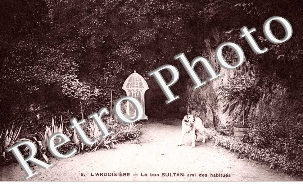 l&#039;Ardoisière Le bon sultan ami des habitués