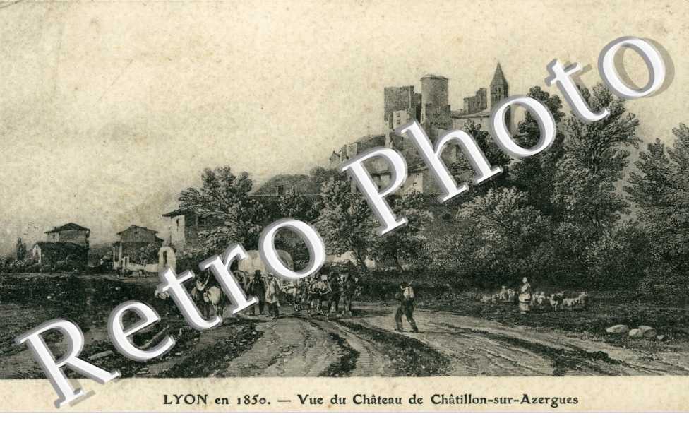 Vue du Chateau de Chatillon sur Azergues