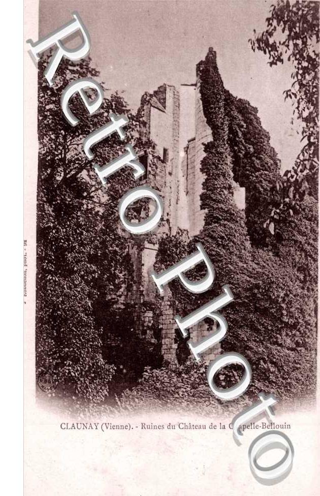 ruines du chateau de la Chapelle-Bellouin
