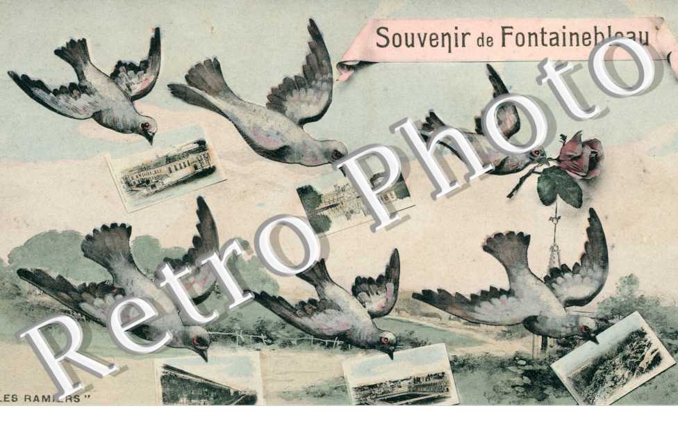souvenir