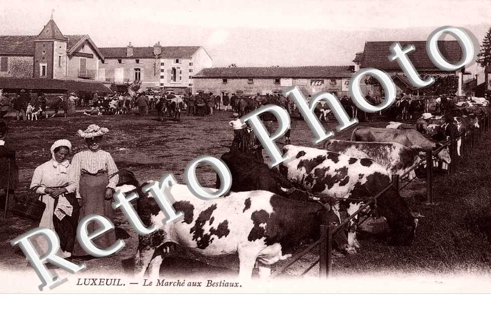 le marche aux bestiaux
