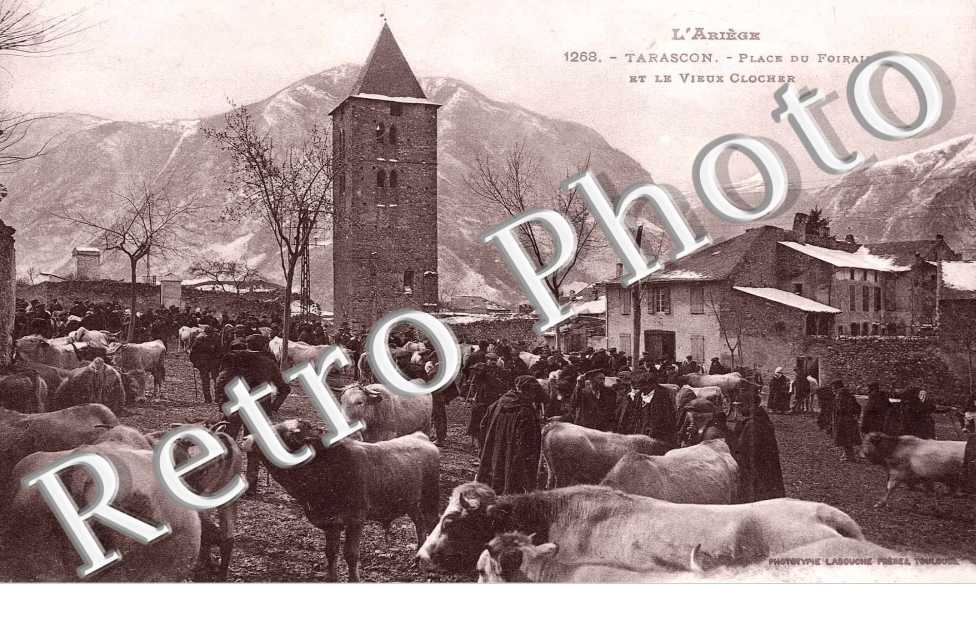 place du foirail et le vieux clocher (vaches)