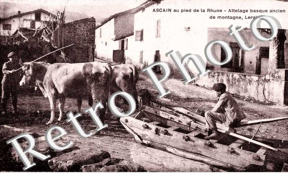 au pied de la Rhune - Attelage basque ancien de montagne, Lerak