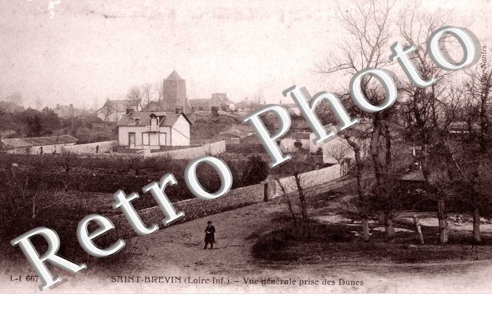 Vue generale prise des dunes