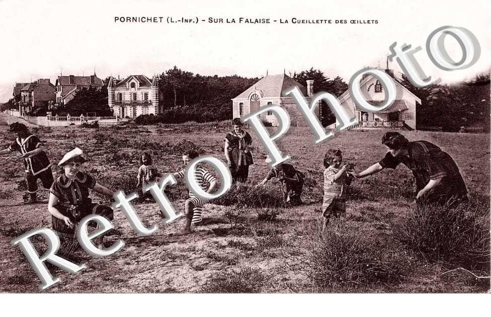 sur la falaise - la cueuillette des oeillets
