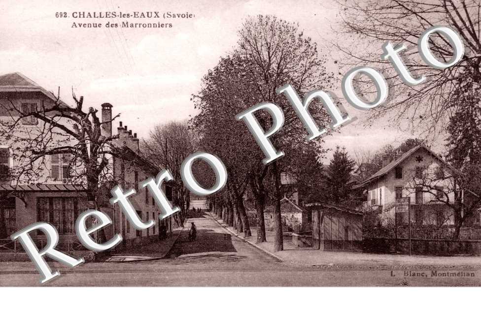 Avenue des marronniers