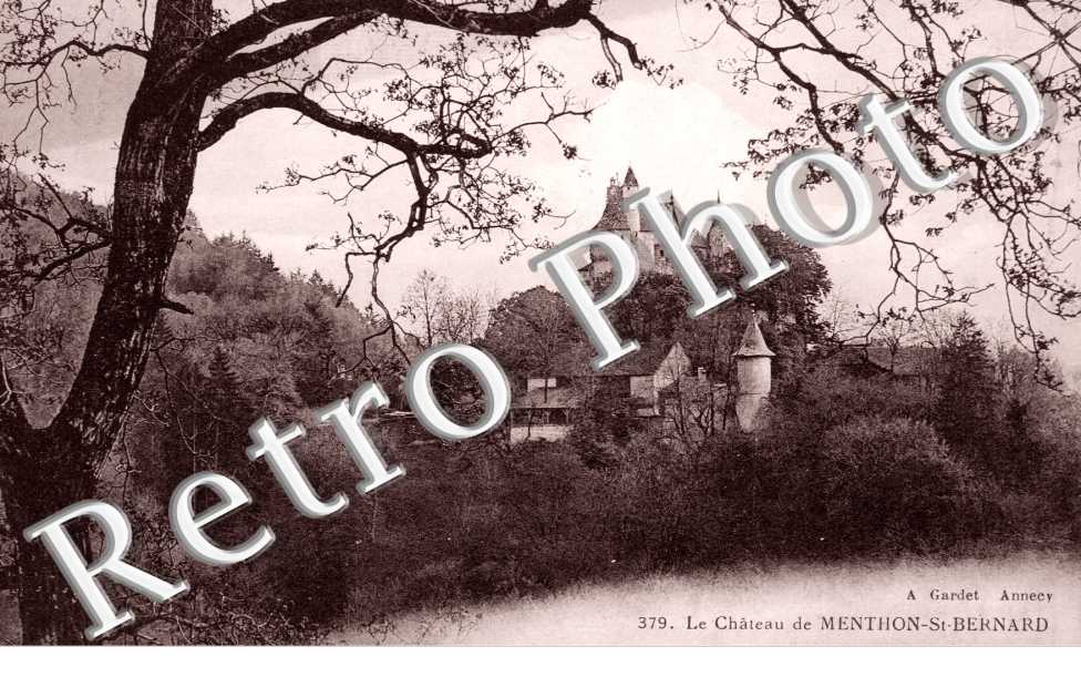 le Chateau de Menthon-Saint-Bernard