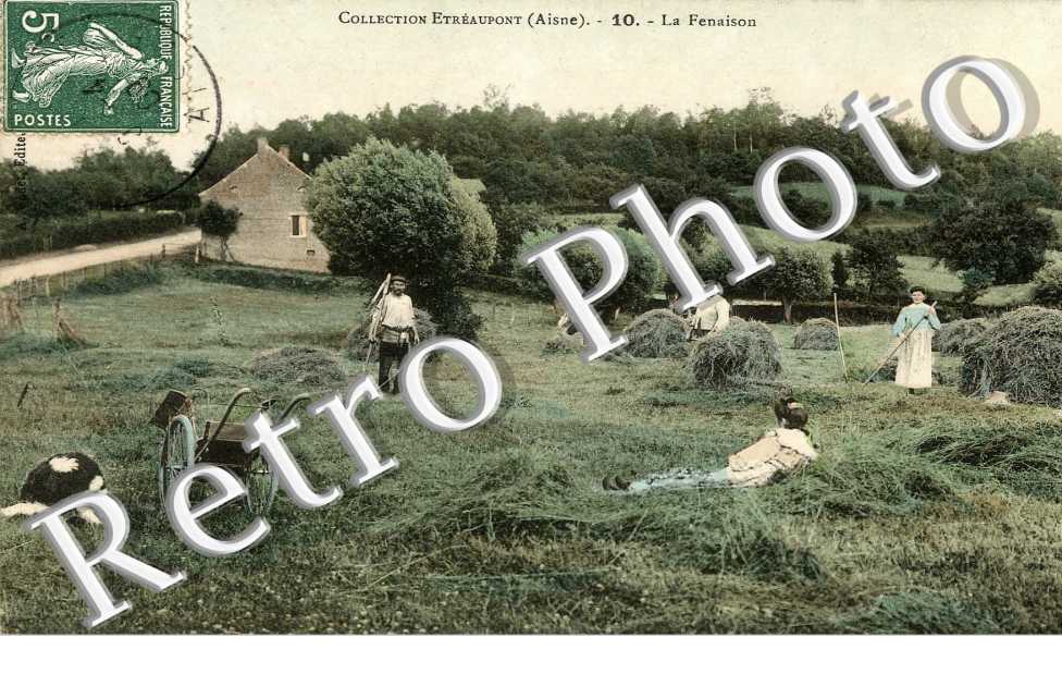 La fenaison 