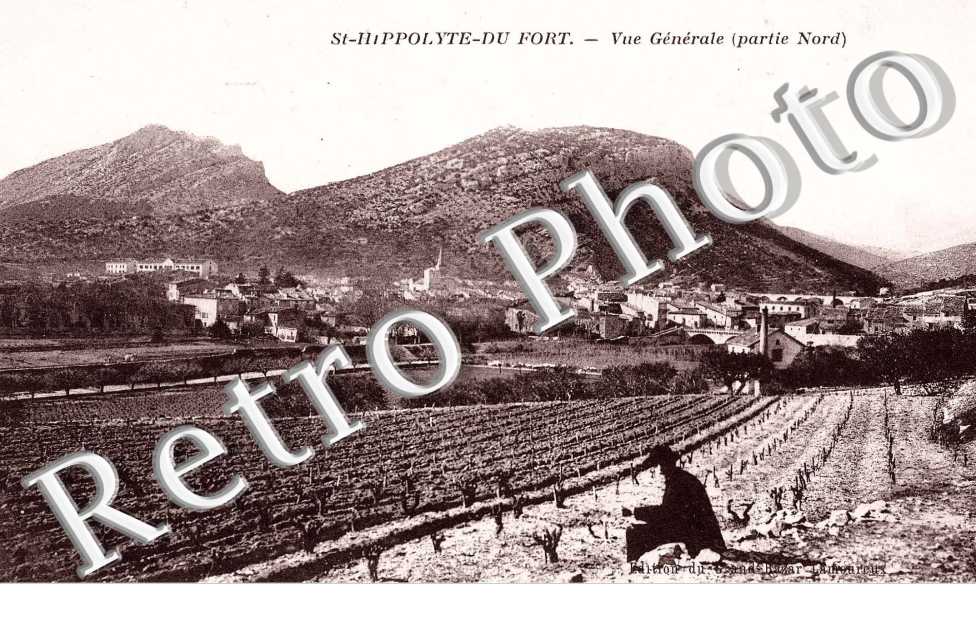 vue generale (partie nord)