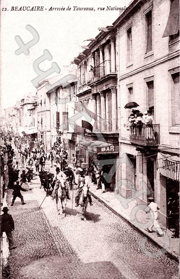 Arrivee de taureaux - rue nationale