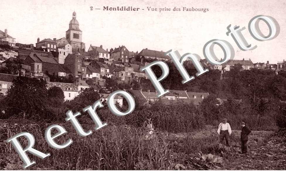 Vue prise des Faubourgs