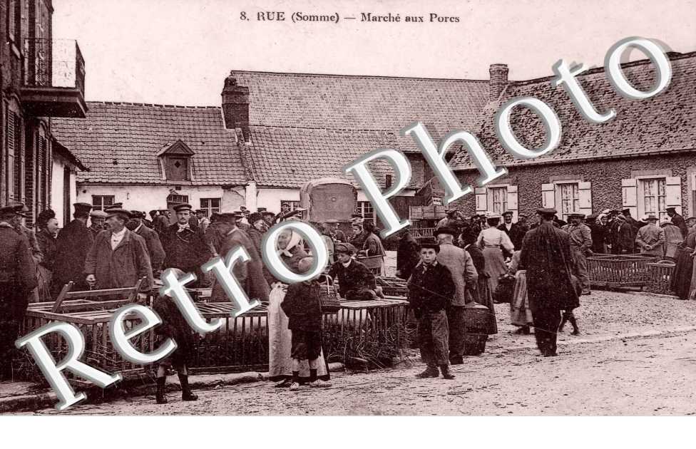 Marche aux porcs