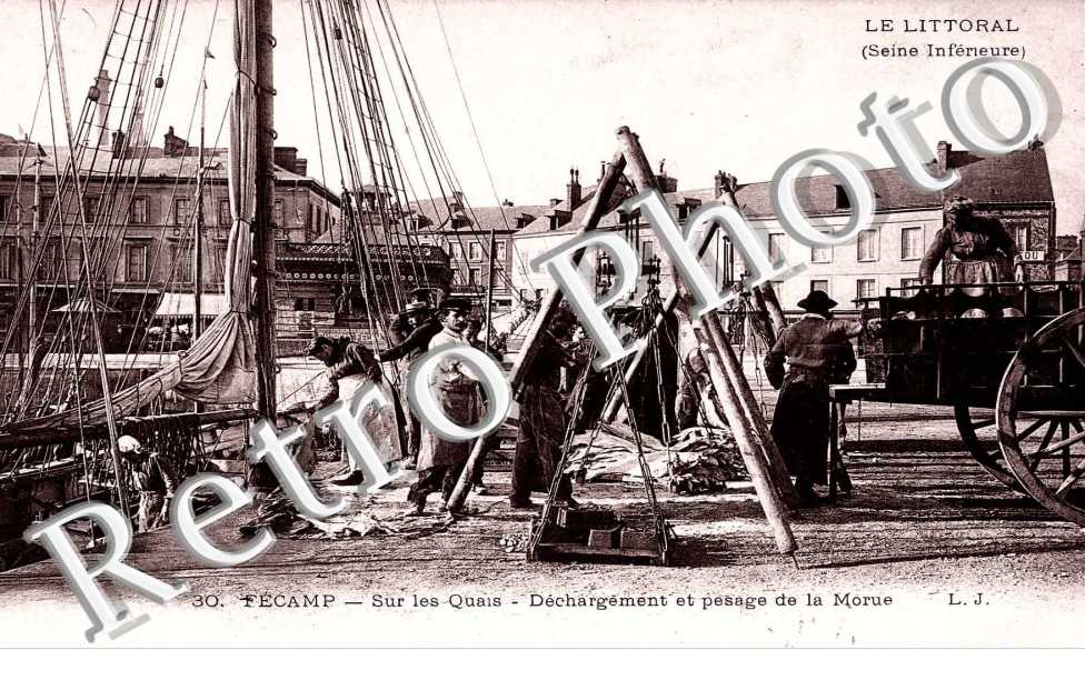 Sur les quais - Dechargement et pesage de la Morue