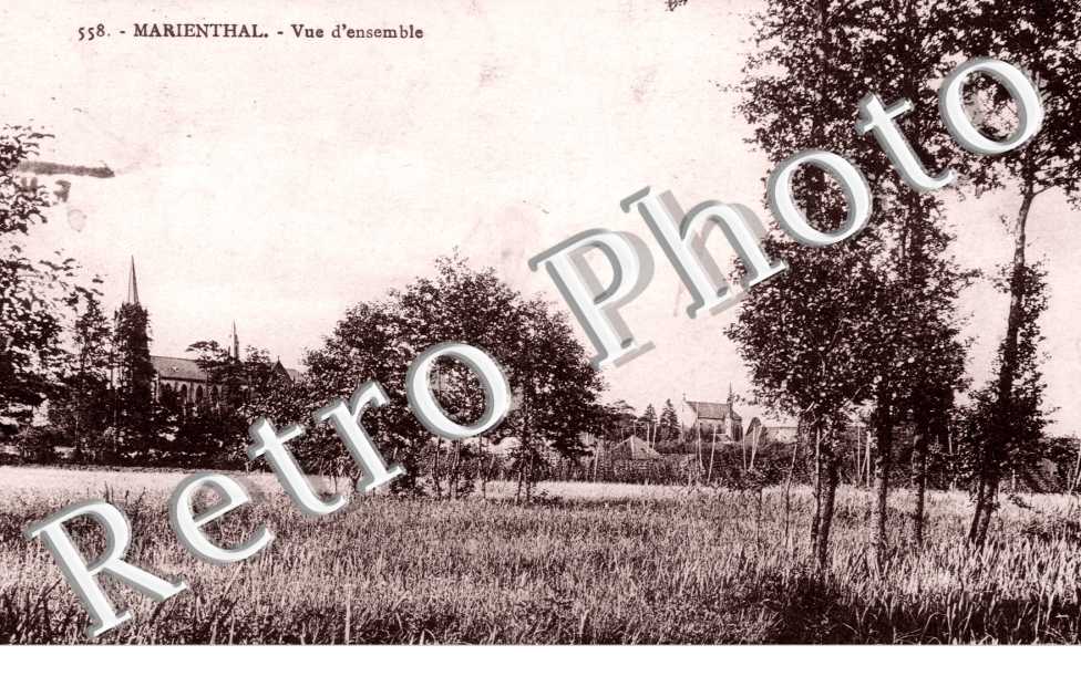 Vue d&#039;Ensemble