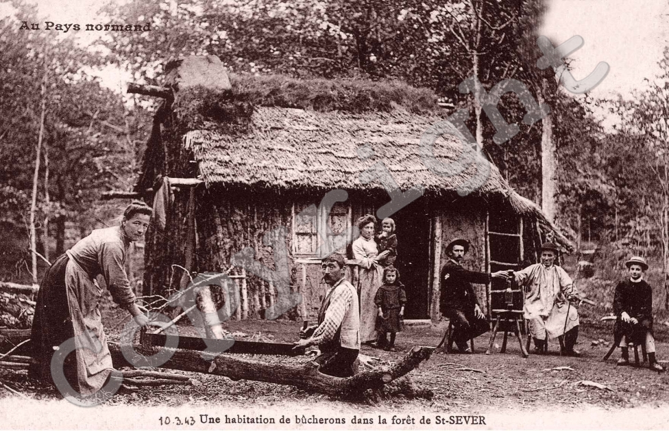 une habitation de bucherons dans la foret