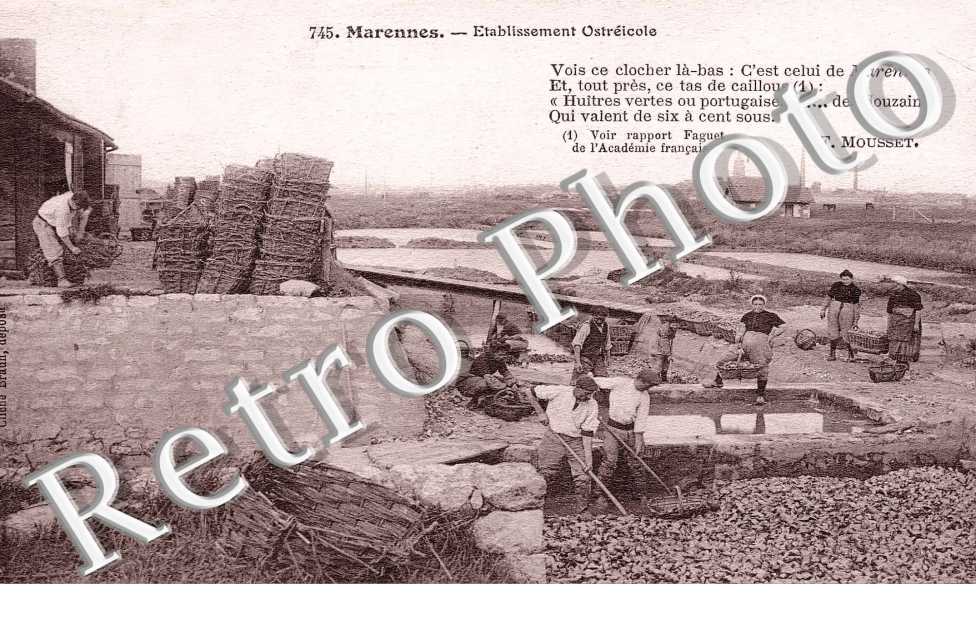 Etablissement ostreicole