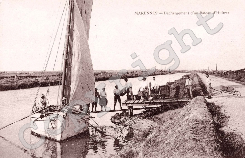 dechargement d&#039;un bateau d&#039;huitres