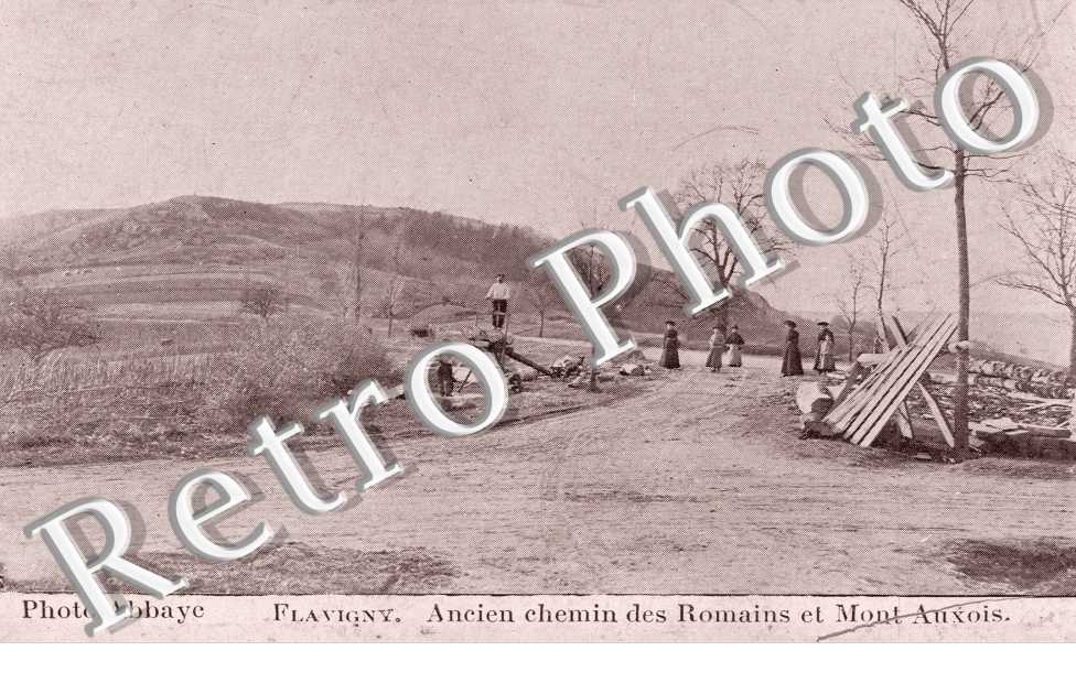 ancien chemin des Romains et Mt Auxois