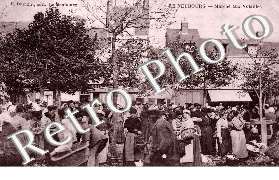 marche aux volailles