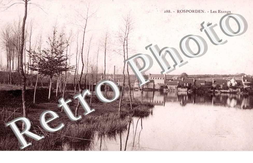 Les Etangs