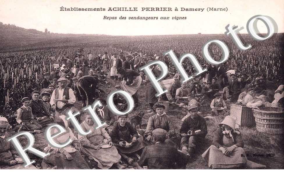 Repas des vendanges aux vignes - etablissement Achille Perrier