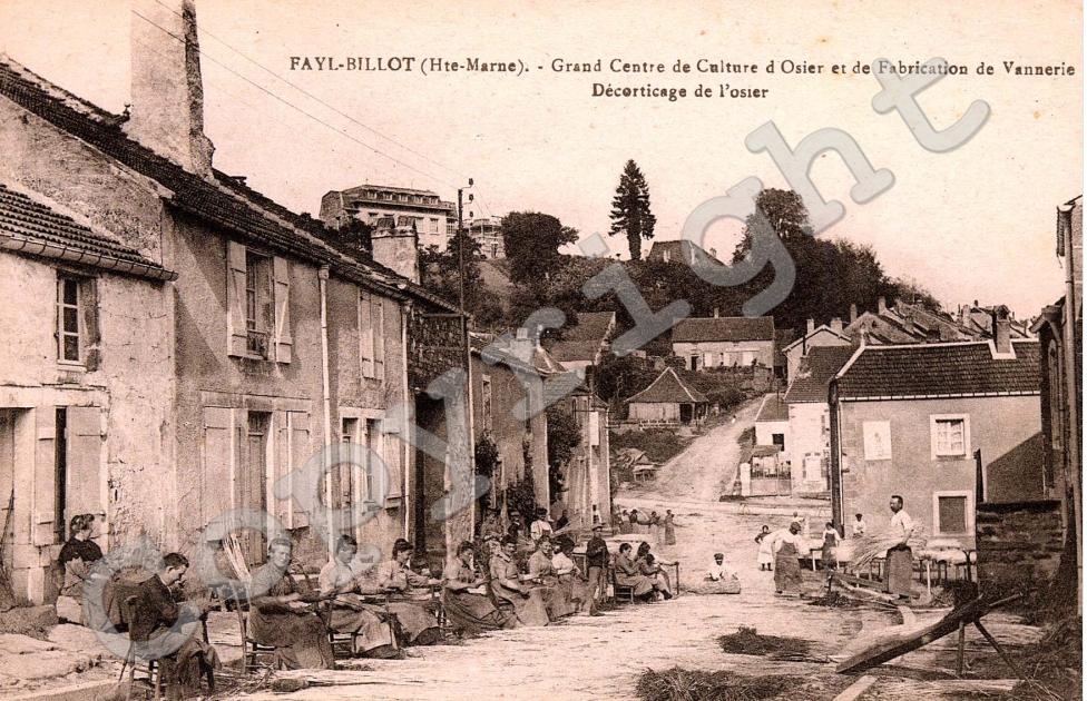 Decorticage de l&#039;osier