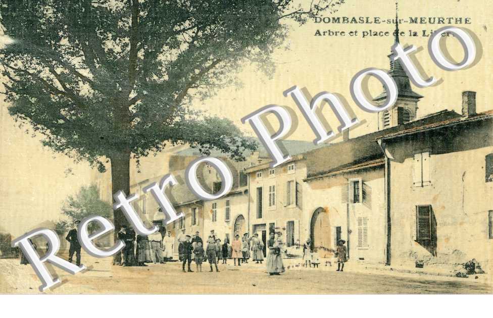 Arbre et place de la Liberte