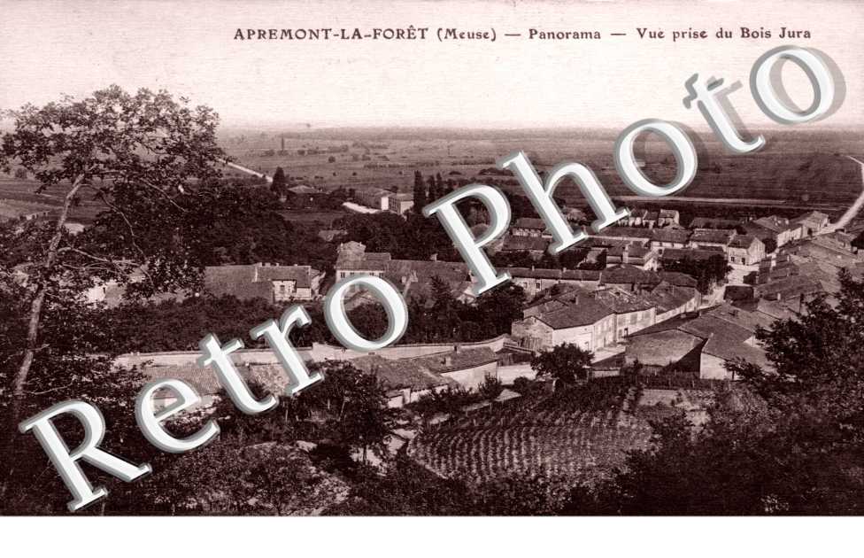 vue prise du bois jura