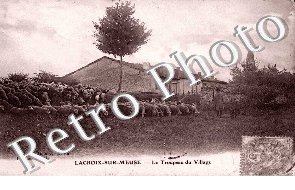 le troupeau du village