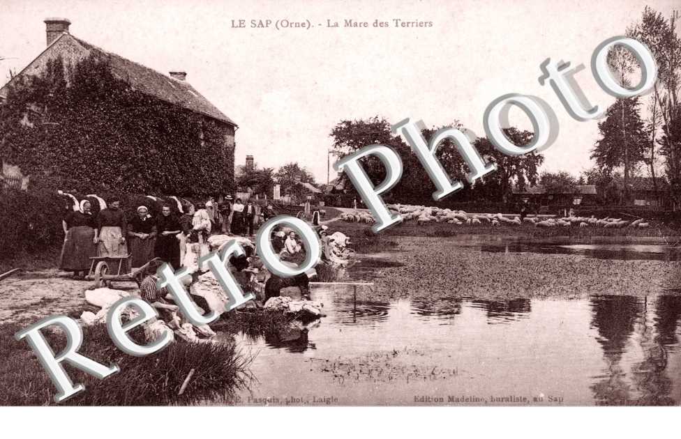 la mare des terriers