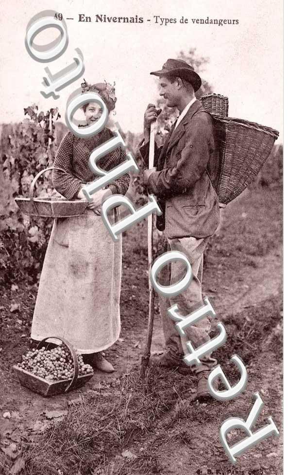 Types de Vendangeurs