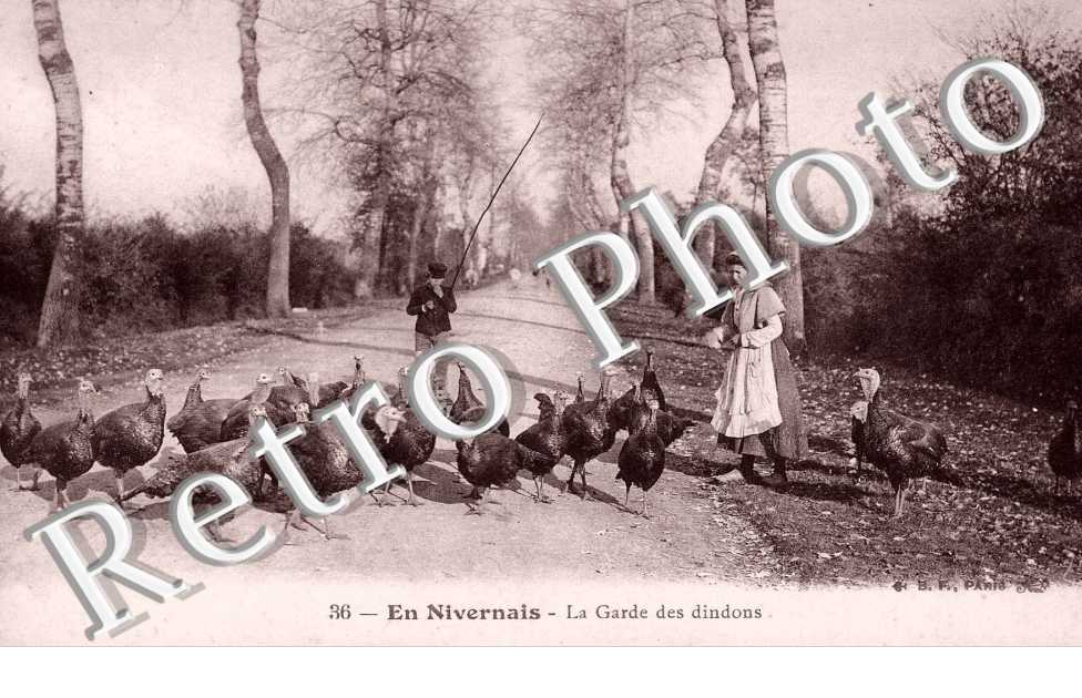 la garde des dindons