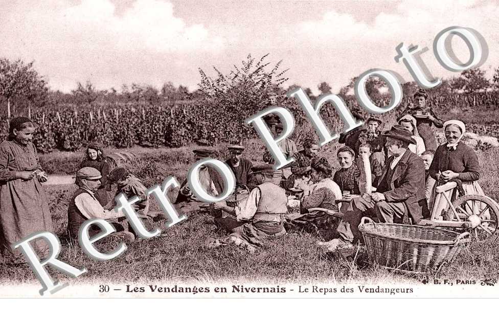 les vendanges en Nivernais
