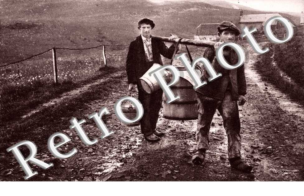 Transport du lait pour la fabrication de ses recherches fromages de Saint-Nectaire