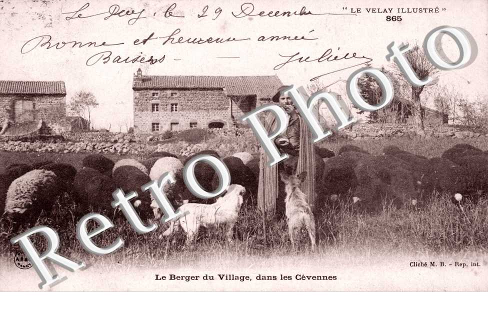 le Berger du village dans les Cevennes