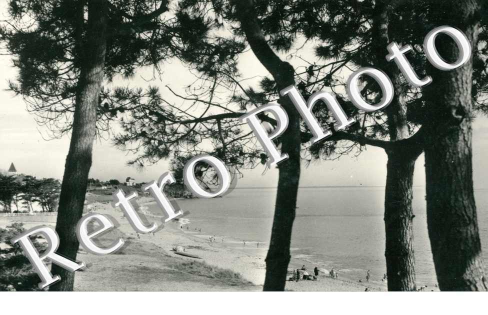 Vue generale de la plage