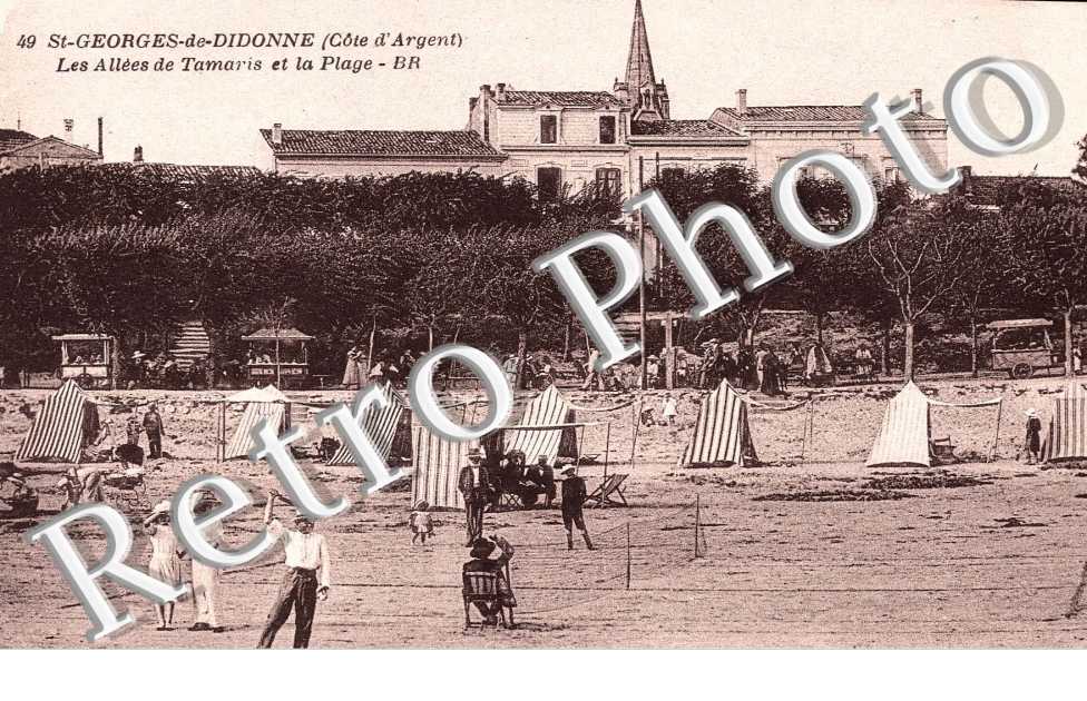 LES ALLEES DE TAMARIS
